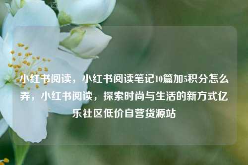 小红书阅读，小红书阅读笔记10篇加5积分怎么弄，小红书阅读	，探索时尚与生活的新方式亿乐社区低价自营货源站  第1张