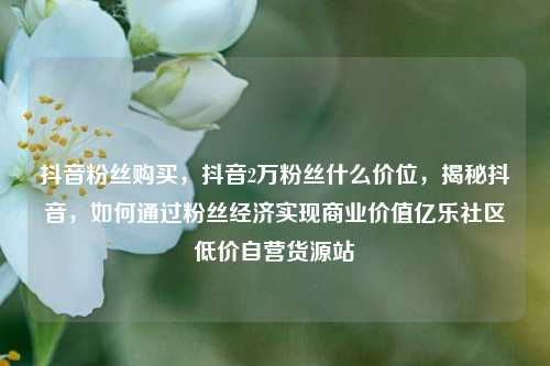 抖音粉丝购买，抖音2万粉丝什么价位	，揭秘抖音，如何通过粉丝经济实现商业价值亿乐社区低价自营货源站  第1张
