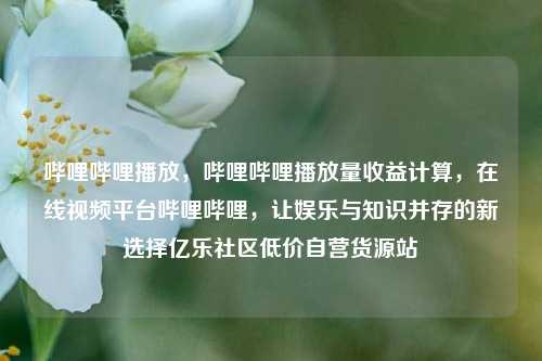 哔哩哔哩播放，哔哩哔哩播放量收益计算，在线视频平台哔哩哔哩	，让娱乐与知识并存的新选择亿乐社区低价自营货源站  第1张