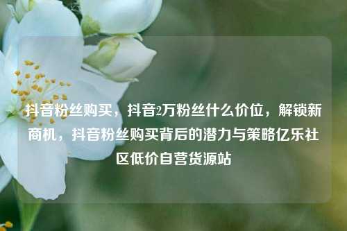 抖音粉丝购买	，抖音2万粉丝什么价位，解锁新商机，抖音粉丝购买背后的潜力与策略亿乐社区低价自营货源站  第1张
