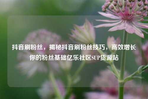 抖音刷粉丝	，揭秘抖音刷粉丝技巧，高效增长你的粉丝基础亿乐社区SUP货源站  第1张