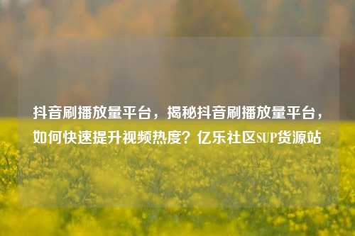 抖音刷播放量平台	，揭秘抖音刷播放量平台，如何快速提升视频热度？亿乐社区SUP货源站  第1张
