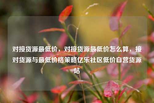 对接货源最低价	，对接货源最低价怎么算，接对货源与最低价格策略亿乐社区低价自营货源站  第1张