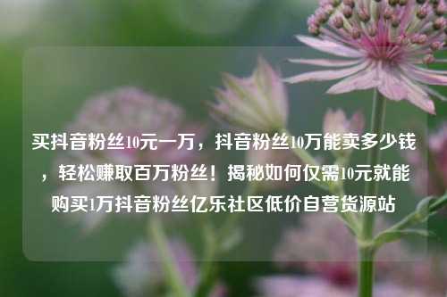 买抖音粉丝10元一万，抖音粉丝10万能卖多少钱，轻松赚取百万粉丝！揭秘如何仅需10元就能购买1万抖音粉丝亿乐社区低价自营货源站  第1张