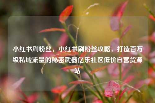 小红书刷粉丝，小红书刷粉丝攻略	，打造百万级私域流量的秘密武器亿乐社区低价自营货源站  第1张