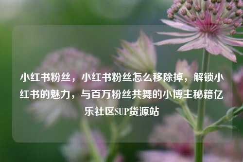 小红书粉丝，小红书粉丝怎么移除掉	，解锁小红书的魅力，与百万粉丝共舞的小博主秘籍亿乐社区SUP货源站  第1张