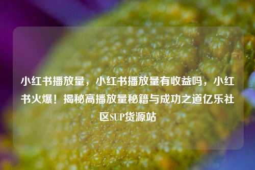 小红书播放量	，小红书播放量有收益吗，小红书火爆！揭秘高播放量秘籍与成功之道亿乐社区SUP货源站  第1张