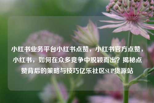 小红书业务平台小红书点赞，小红书官方点赞	，小红书，如何在众多竞争中脱颖而出？揭秘点赞背后的策略与技巧亿乐社区SUP货源站  第1张