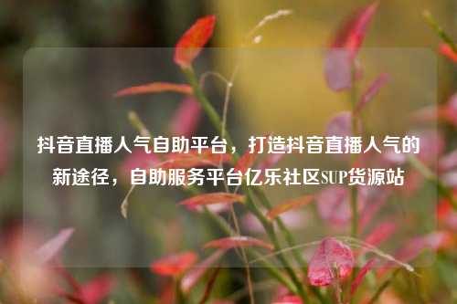 抖音直播人气自助平台，打造抖音直播人气的新途径，自助服务平台亿乐社区SUP货源站  第1张
