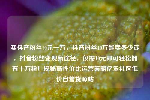 买抖音粉丝10元一万，抖音粉丝10万能卖多少钱	，抖音粉丝变现新途径，仅需10元即可轻松拥有十万粉！揭秘高性价比运营策略亿乐社区低价自营货源站  第1张