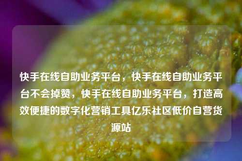 快手在线自助业务平台，快手在线自助业务平台不会掉赞	，快手在线自助业务平台，打造高效便捷的数字化营销工具亿乐社区低价自营货源站  第1张