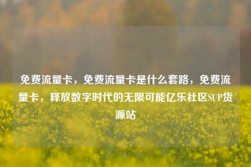 免费流量卡，免费流量卡是什么套路，免费流量卡	，释放数字时代的无限可能亿乐社区SUP货源站  第1张