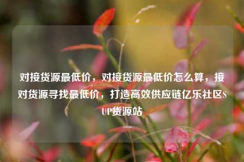 对接货源最低价，对接货源最低价怎么算	，接对货源寻找最低价，打造高效供应链亿乐社区SUP货源站  第1张