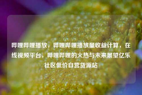 哔哩哔哩播放	，哔哩哔哩播放量收益计算，在线视频平台，哔哩哔哩的火热与未来展望亿乐社区低价自营货源站  第1张