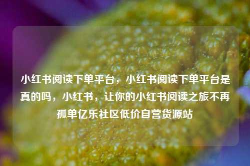 小红书阅读下单平台	，小红书阅读下单平台是真的吗，小红书，让你的小红书阅读之旅不再孤单亿乐社区低价自营货源站  第1张