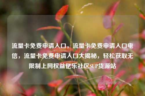 流量卡免费申请入口，流量卡免费申请入口电信，流量卡免费申请入口大揭秘，轻松获取无限制上网权益亿乐社区SUP货源站  第1张