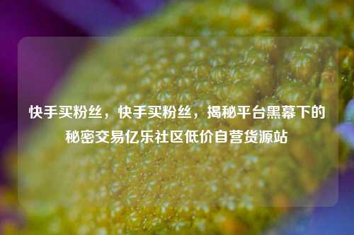 快手买粉丝，快手买粉丝	，揭秘平台黑幕下的秘密交易亿乐社区低价自营货源站  第1张