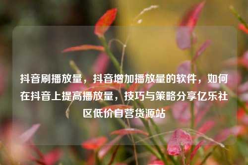 抖音刷播放量	，抖音增加播放量的软件，如何在抖音上提高播放量，技巧与策略分享亿乐社区低价自营货源站  第1张