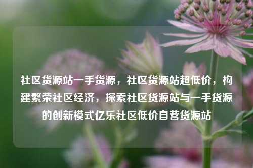 社区货源站一手货源，社区货源站超低价	，构建繁荣社区经济，探索社区货源站与一手货源的创新模式亿乐社区低价自营货源站  第1张