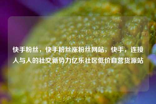 快手粉丝，快手粉丝涨粉丝网站，快手	，连接人与人的社交新势力亿乐社区低价自营货源站  第1张