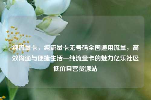 纯流量卡，纯流量卡无号码全国通用流量	，高效沟通与便捷生活—纯流量卡的魅力亿乐社区低价自营货源站  第1张