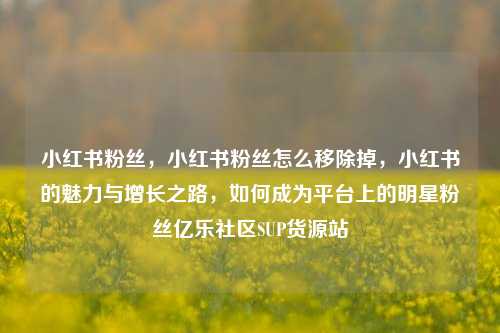 小红书粉丝，小红书粉丝怎么移除掉，小红书的魅力与增长之路	，如何成为平台上的明星粉丝亿乐社区SUP货源站  第1张