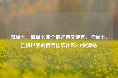 流量卡，流量卡哪个最好用又便宜，流量卡，连接世界的桥梁亿乐社区SUP货源站  第1张