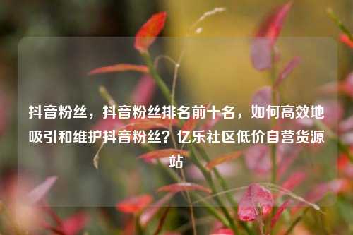 抖音粉丝	，抖音粉丝排名前十名，如何高效地吸引和维护抖音粉丝？亿乐社区低价自营货源站  第1张