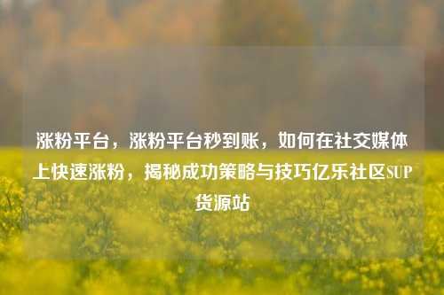 涨粉平台	，涨粉平台秒到账，如何在社交媒体上快速涨粉，揭秘成功策略与技巧亿乐社区SUP货源站  第1张