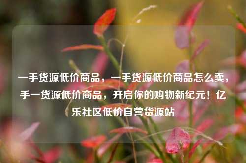 一手货源低价商品，一手货源低价商品怎么卖	，手一货源低价商品，开启你的购物新纪元！亿乐社区低价自营货源站  第1张
