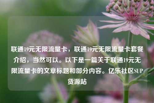 联通19元无限流量卡，联通19元无限流量卡套餐介绍，当然可以。以下是一篇关于联通19元无限流量卡的文章标题和部分内容	。亿乐社区SUP货源站  第1张