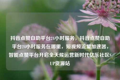 抖音点赞自助平台24小时服务，抖音点赞自助平台24小时服务在哪里，短视频流量加速器，智能点赞平台开启全天候运营新时代亿乐社区SUP货源站  第1张